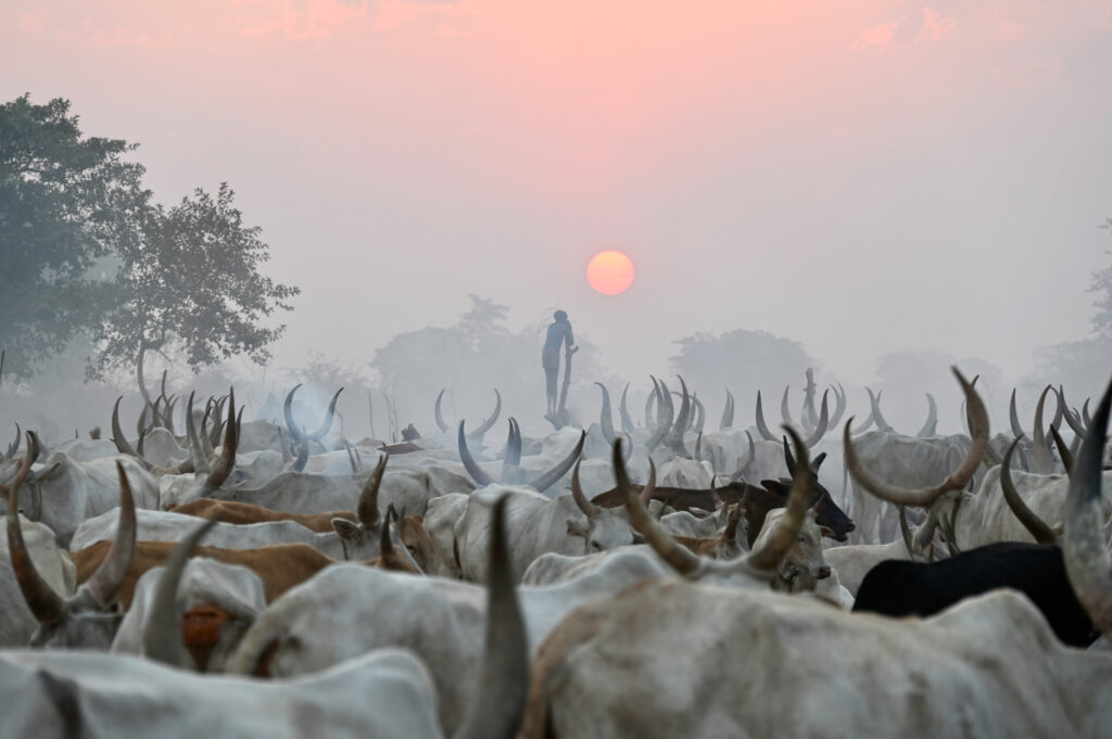 Pietų Sudanas V